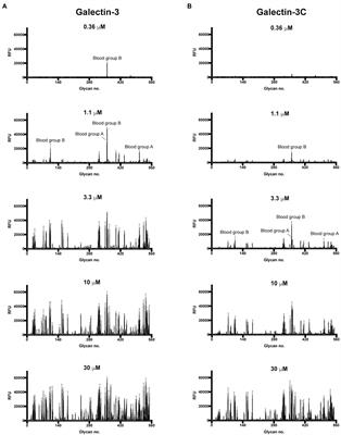 Full-Length Galectin-3 Is Required for High Affinity Microbial Interactions and Antimicrobial Activity